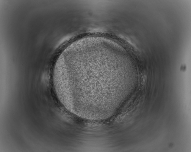 X0000101701254200807241424