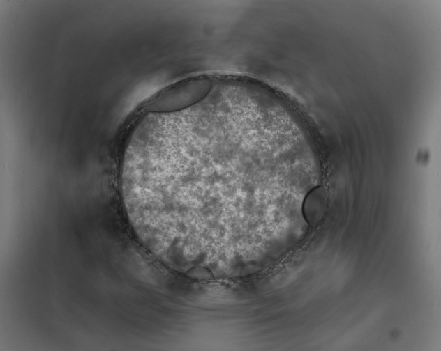 X0000101701255200807241424