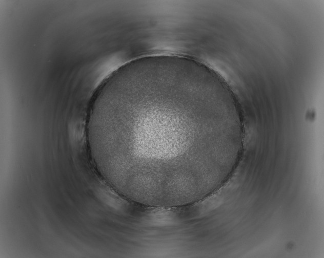 X0000101701259200807241424