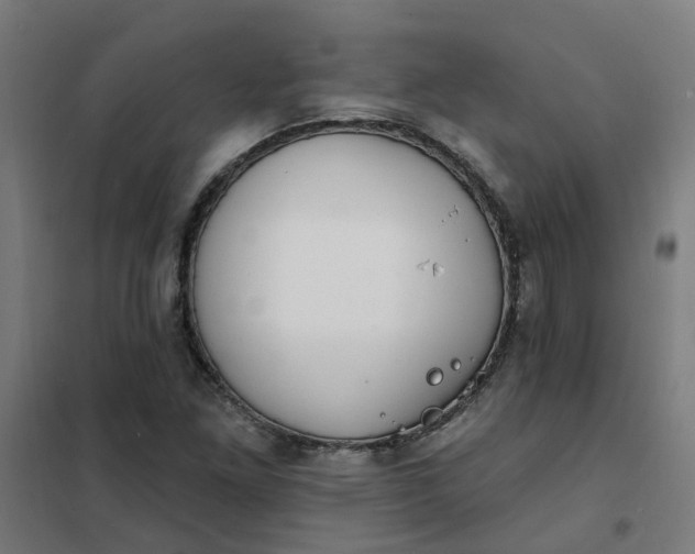 X0000101701261200807241424