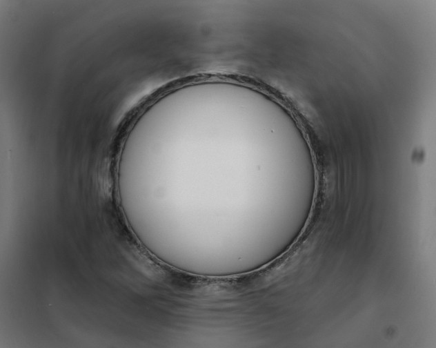 X0000101701262200807241424