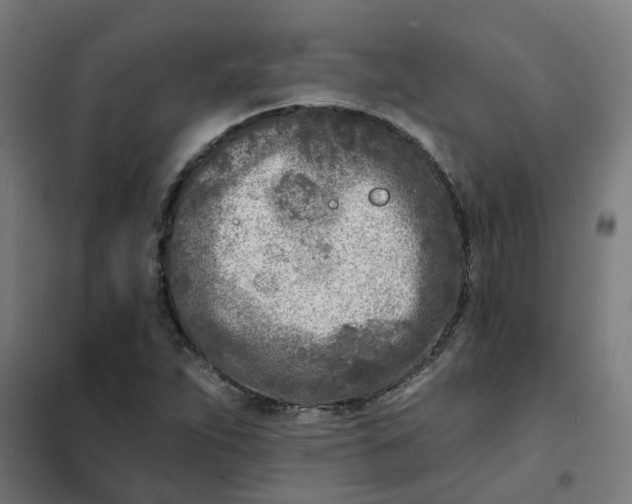 X0000101701263200807241424