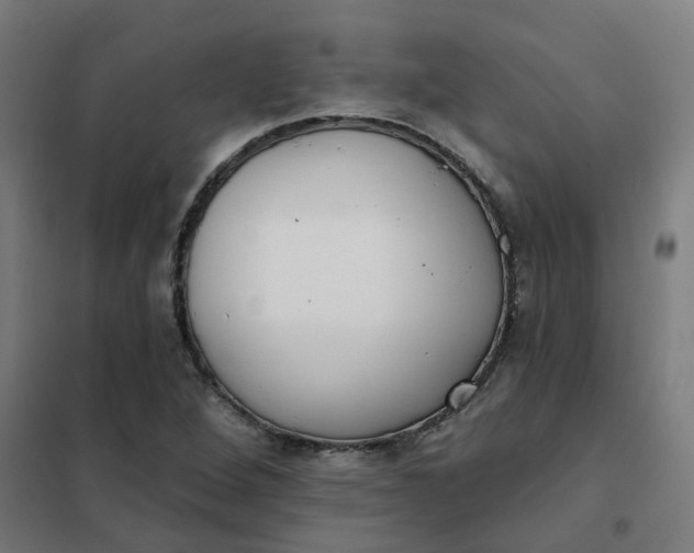 X0000101701264200807241424