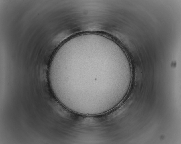 X0000101701265200807241424