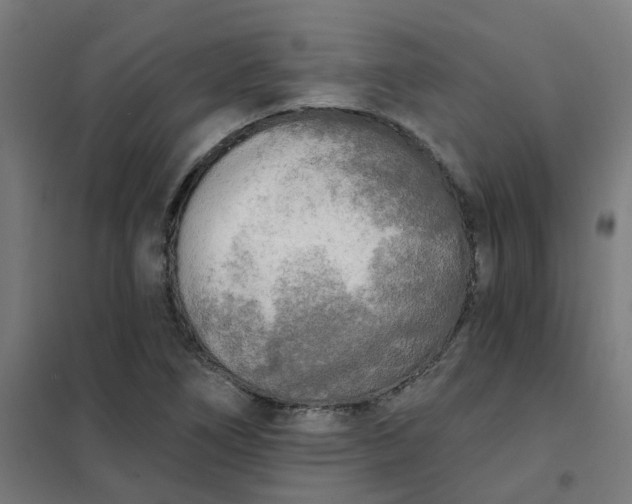 X0000101701266200807241424