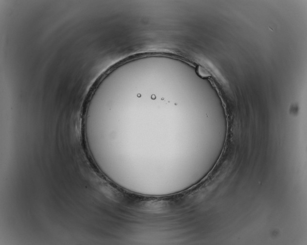 X0000101701268200807241423