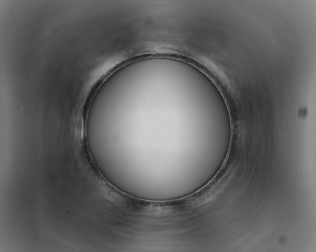 X0000101701269200807241423