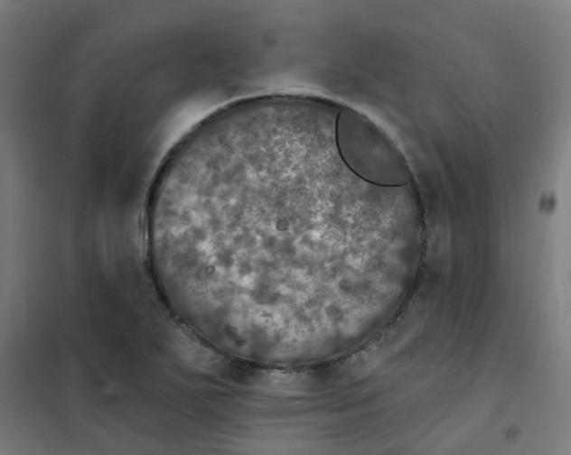 X0000101701271200807241423