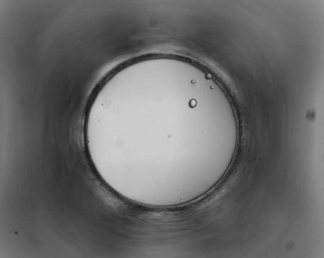 X0000101701272200807241423