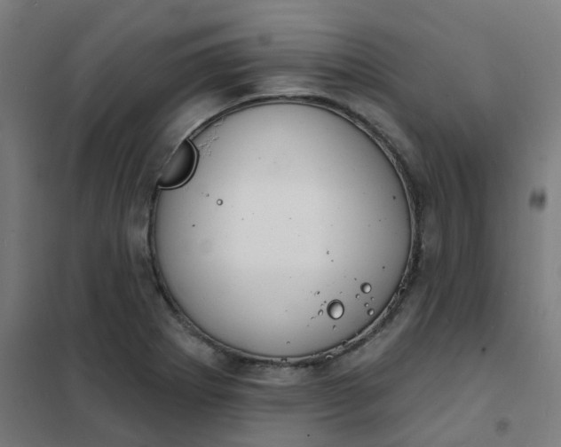 X0000101701273200807241423