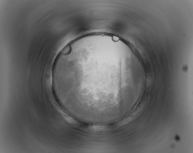 X0000101701274200807241423