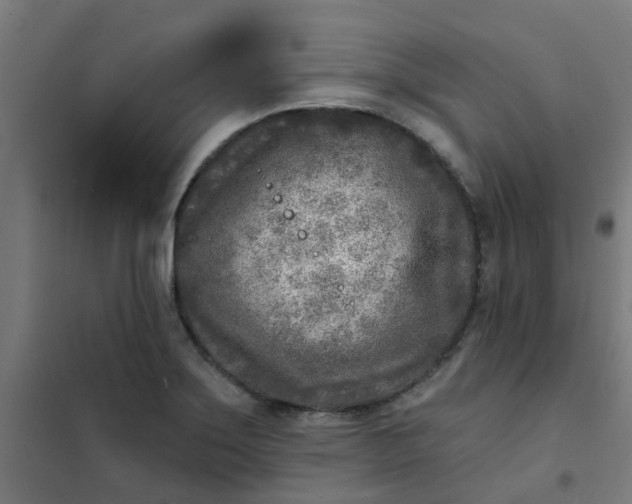 X0000101701275200807241423