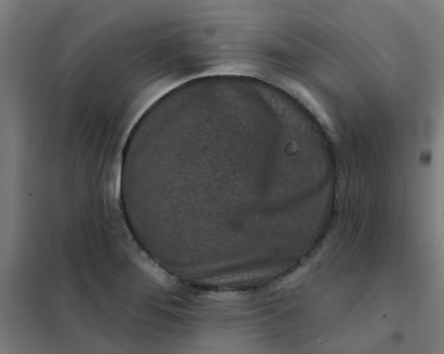 X0000101701276200807241423