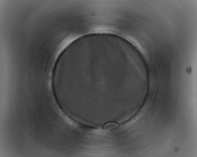 X0000101701277200807241423