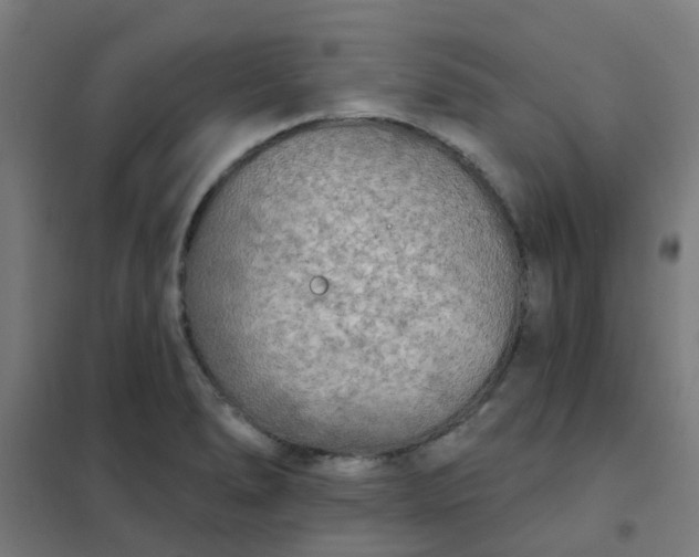 X0000101701278200807241423