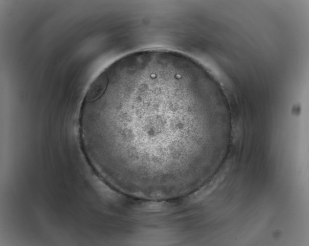 X0000101701279200807241423