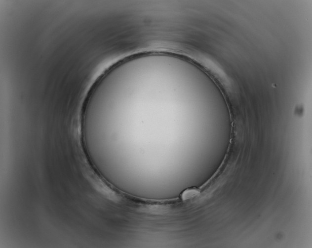 X0000101701280200807241423