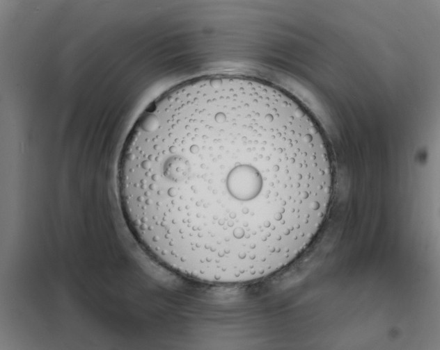 X0000101701283200807241423