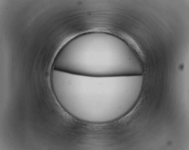 X0000101701284200807241423