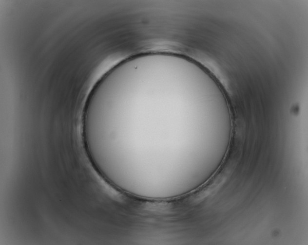 X0000101701285200807241423