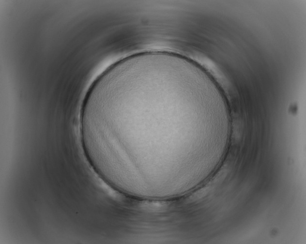 X0000101701286200807241423