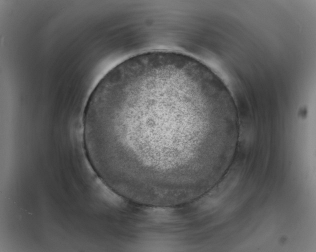 X0000101701287200807241423