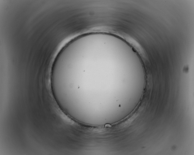 X0000101701288200807241423