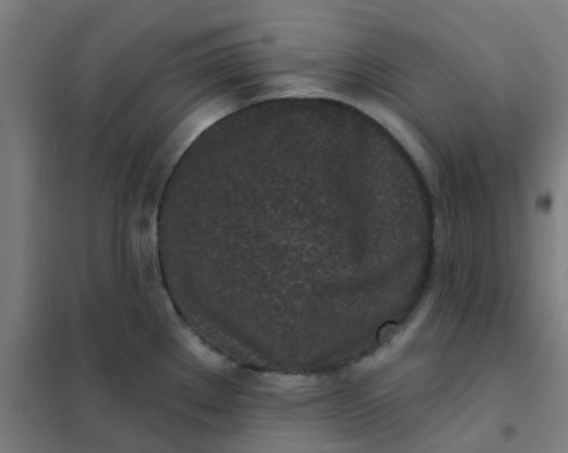 X0000101701289200807241423