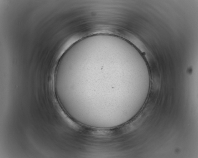 X0000101701290200807241423