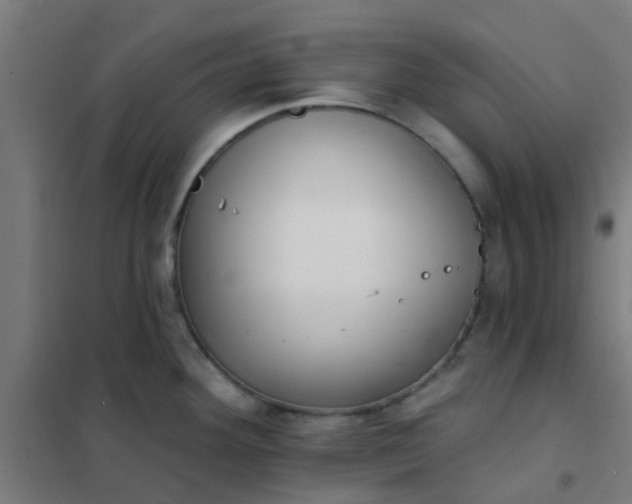 X0000101701292200807241423