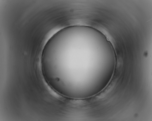 X0000101701293200807241423