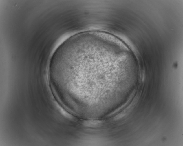 X0000101701294200807241423