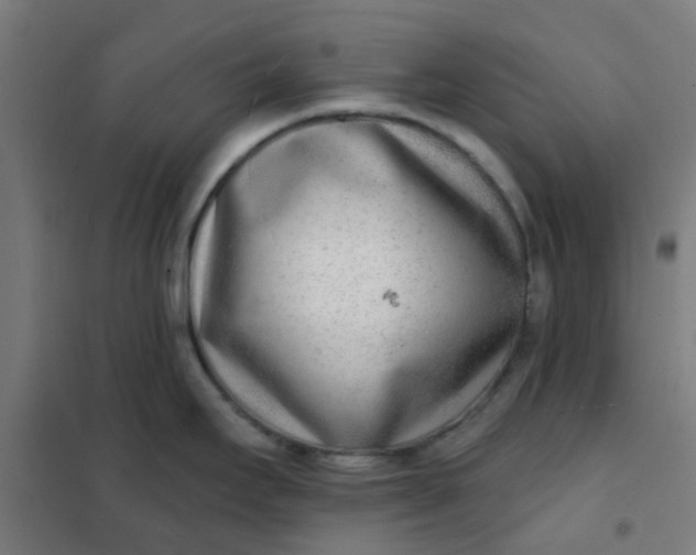 X0000101701295200807241423