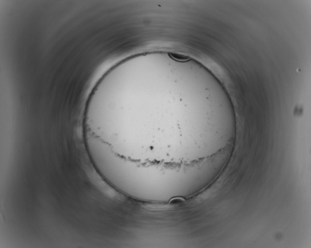 X0000101701296200807241423