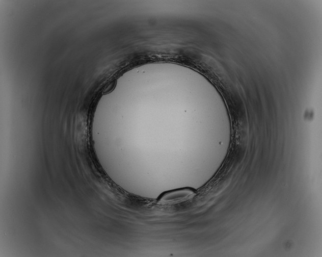 X0000101701298200807241422