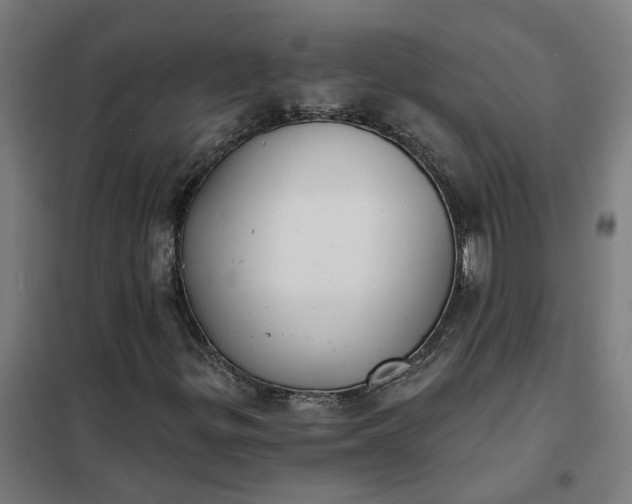 X0000101701299200807241422