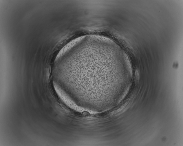 X0000101701300200807241422