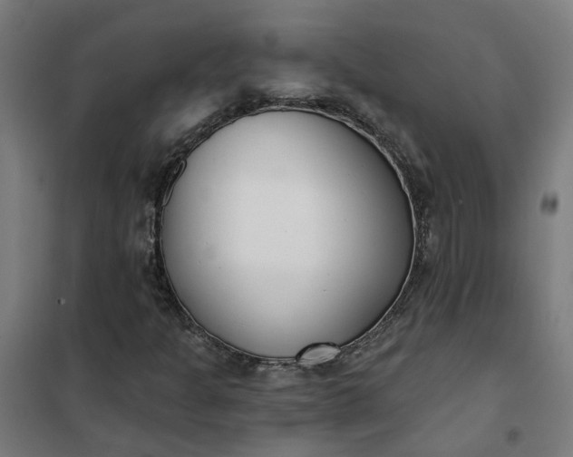 X0000101701301200807241422