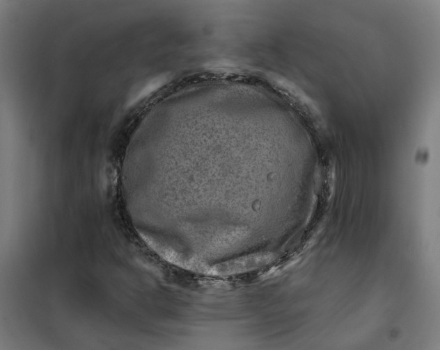 X0000101701302200807241422