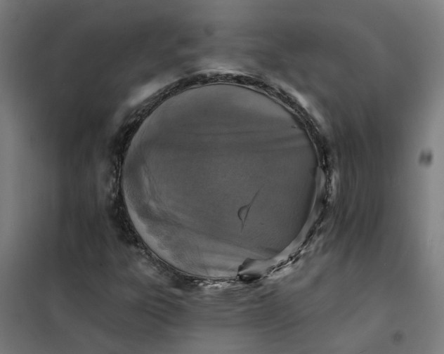 X0000101701303200807241422