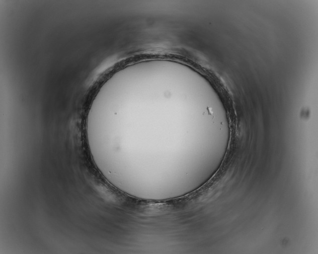 X0000101701304200807241422