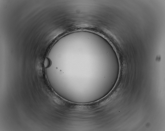 X0000101701305200807241422