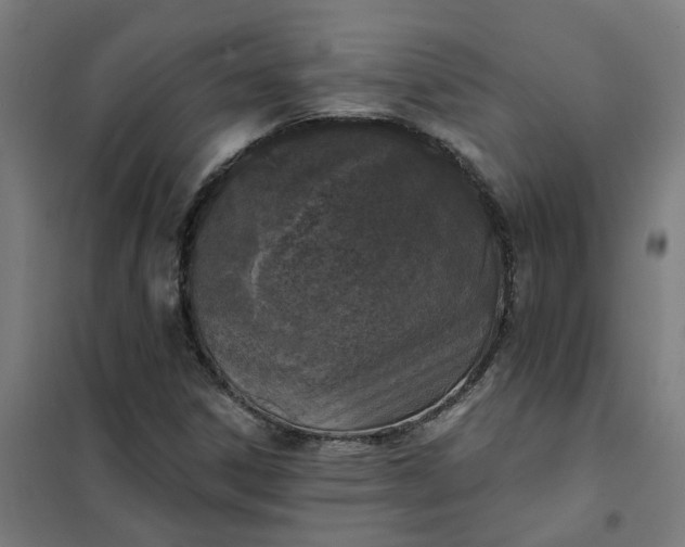 X0000101701306200807241422