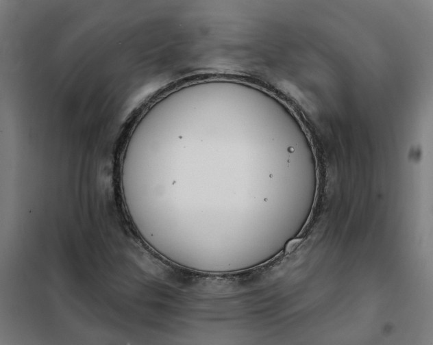 X0000101701307200807241422