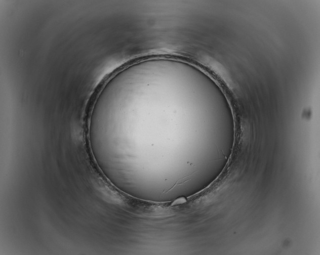 X0000101701308200807241422