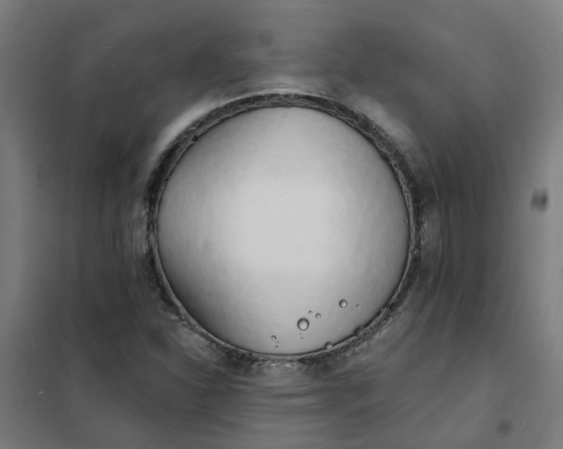 X0000101701310200807241422