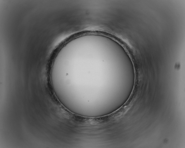 X0000101701311200807241422