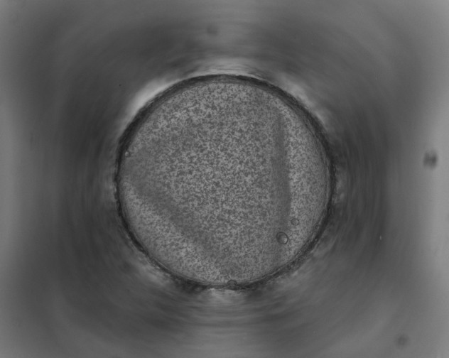 X0000101701312200807241422