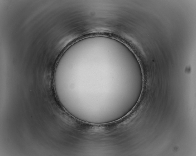 X0000101701313200807241423