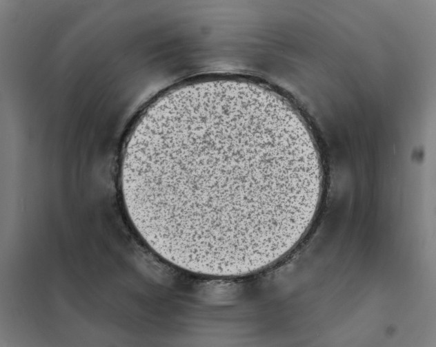 X0000101701314200807241423